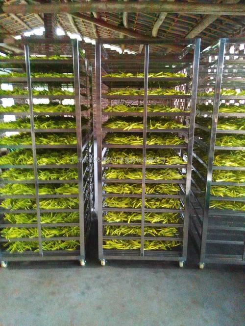 黃花菜烘干機、黃花菜烘干設備、黃花菜干燥機、黃花菜干燥設備、